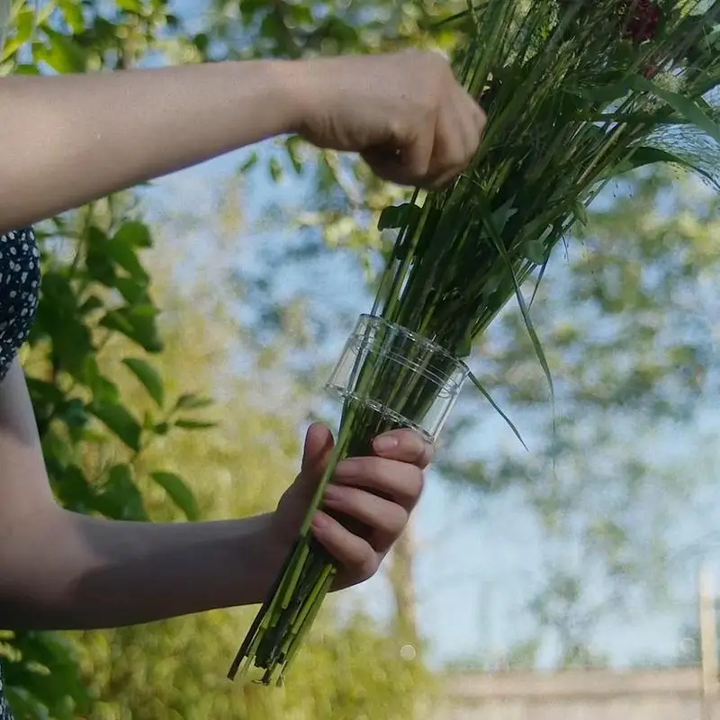 حامل جذع ايكيبانا حلزوني ، قوي - مراجعة Ikebana Vase Kenzan وسعره