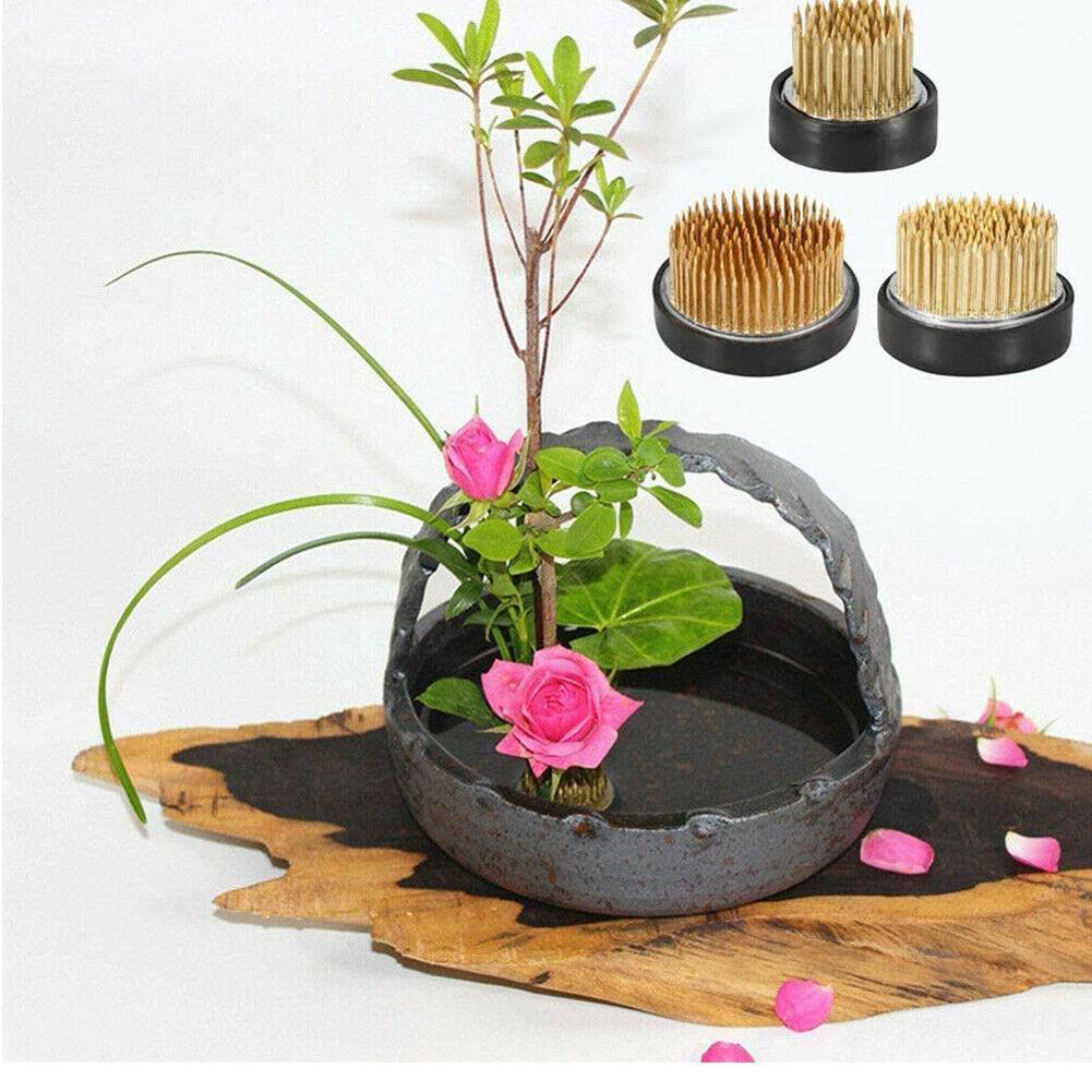 ضفدع زهرة ايكيبانا المستديرة م - مراجعة Ikebana Vase Kenzan وسعره