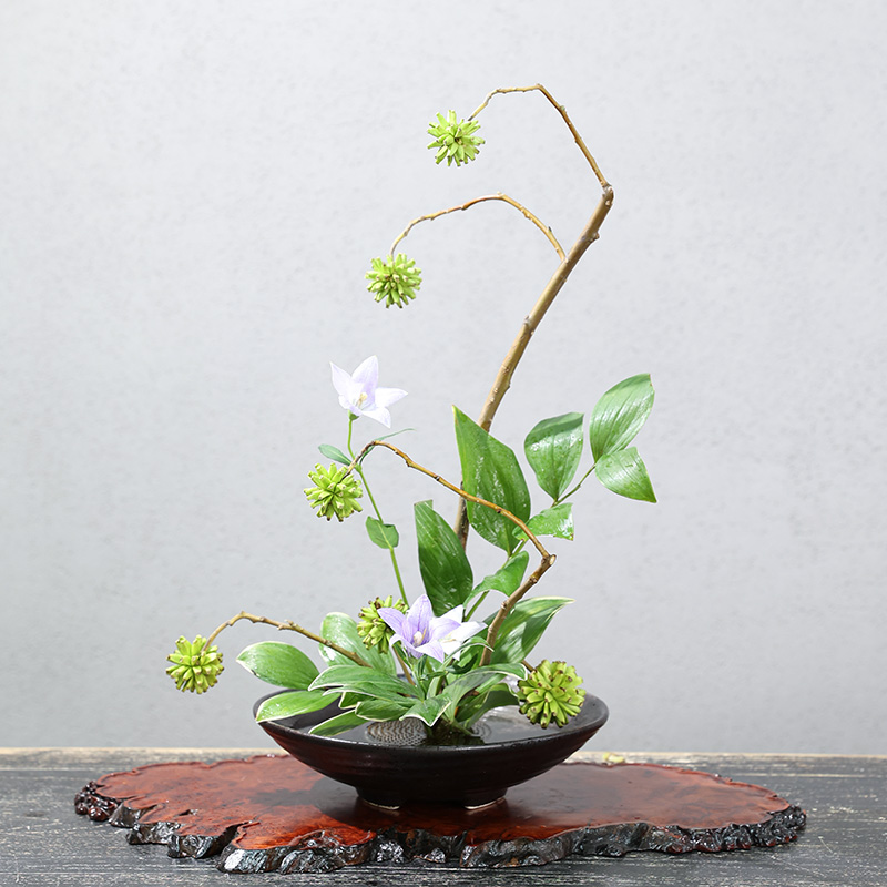 مزهرية مزهرية يابانية مزهرية م - مراجعة Ikebana Vase Kenzan وسعره