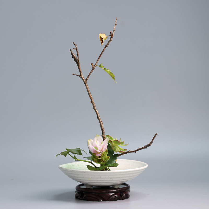 مزهرية مزهرية يابانية مزهرية م - مراجعة Ikebana Vase Kenzan وسعره