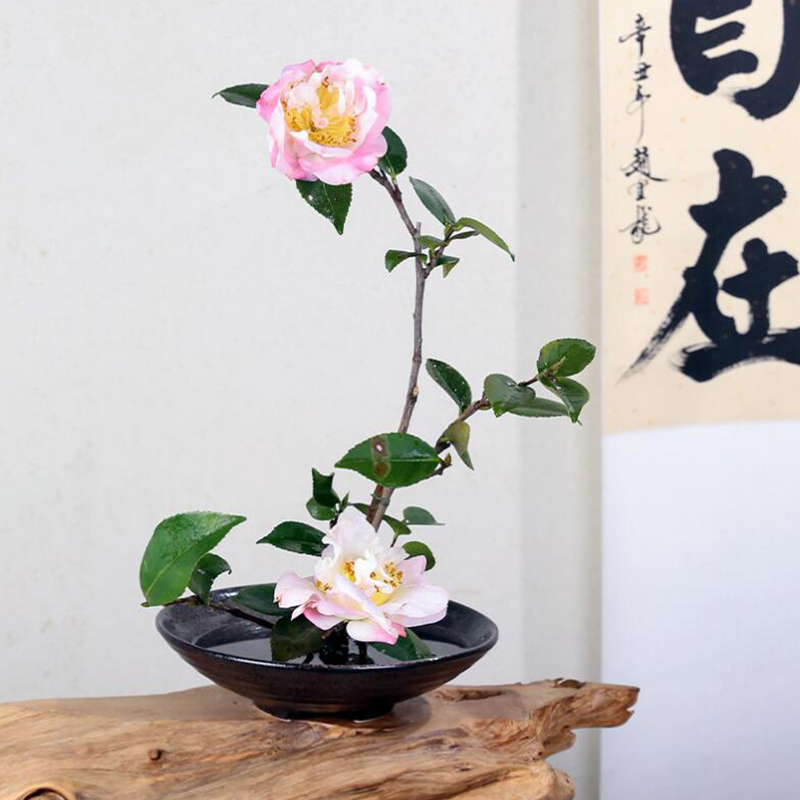 مزهرية مزهرية يابانية مزهرية م - مراجعة Ikebana Vase Kenzan وسعره